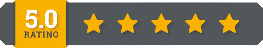 LeptiSense - Review 3 Star